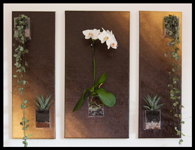 


Triptyque dégradé brun-doré