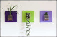 


Triptyque violet et vert irisé