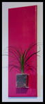 


20x60cm fuchsia