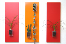 


Tableaux végétaux MiniKipos - Les Sveltes