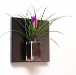 


Tableau végétal MiniKipos - Les Sublimes