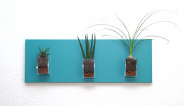 


Tableau végétal MiniKipos - Les Sveltes